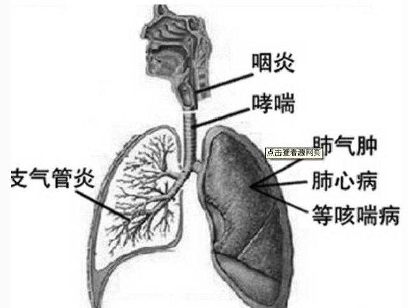 探索济南哮喘病医院:呼吸健康守护者